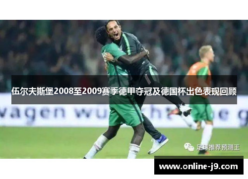 伍尔夫斯堡2008至2009赛季德甲夺冠及德国杯出色表现回顾