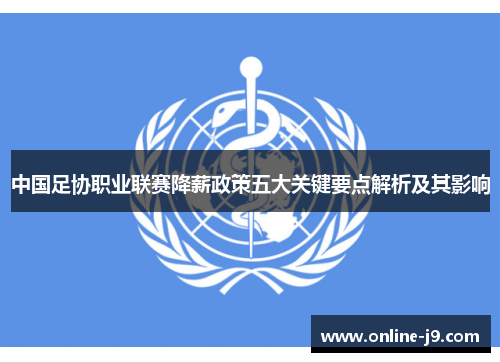 中国足协职业联赛降薪政策五大关键要点解析及其影响