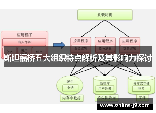 斯坦福桥五大组织特点解析及其影响力探讨